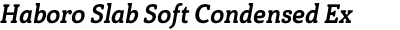 Haboro Slab Soft Condensed Ex Bold Italic